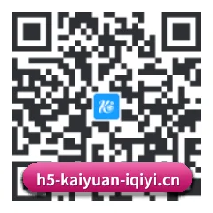 系统版 iOS 二维码